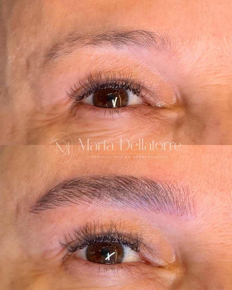 Designer sobrancelhas nanopigmentação fio a fio